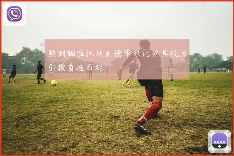 热刺瞄准托纳利德泽尔比将其视为引援首选目标