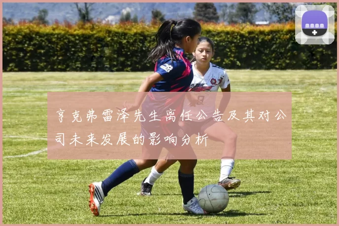 亨克弗雷泽先生离任公告及其对公司未来发展的影响分析